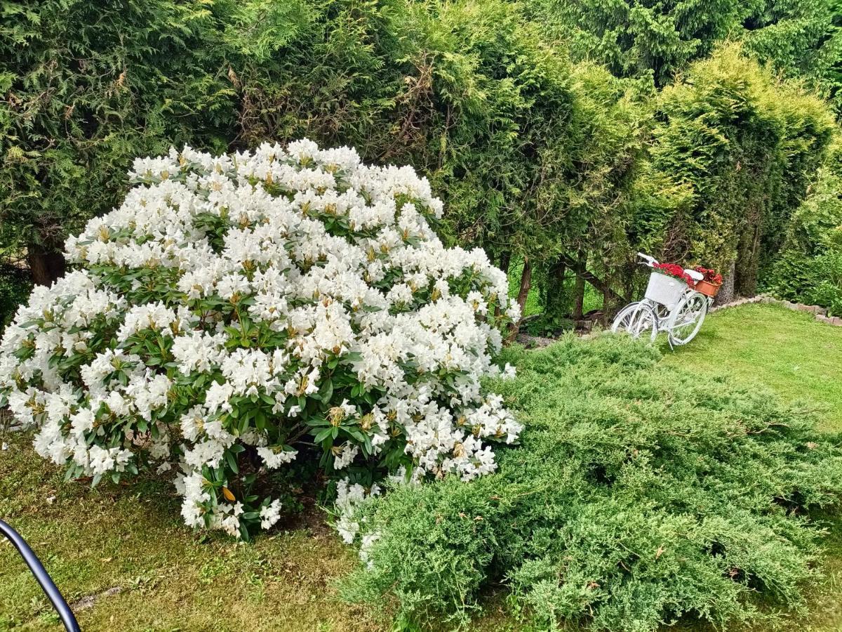 Pasja Bed & Breakfast ชเวียราโดว์-สโดรยจ์ ภายนอก รูปภาพ