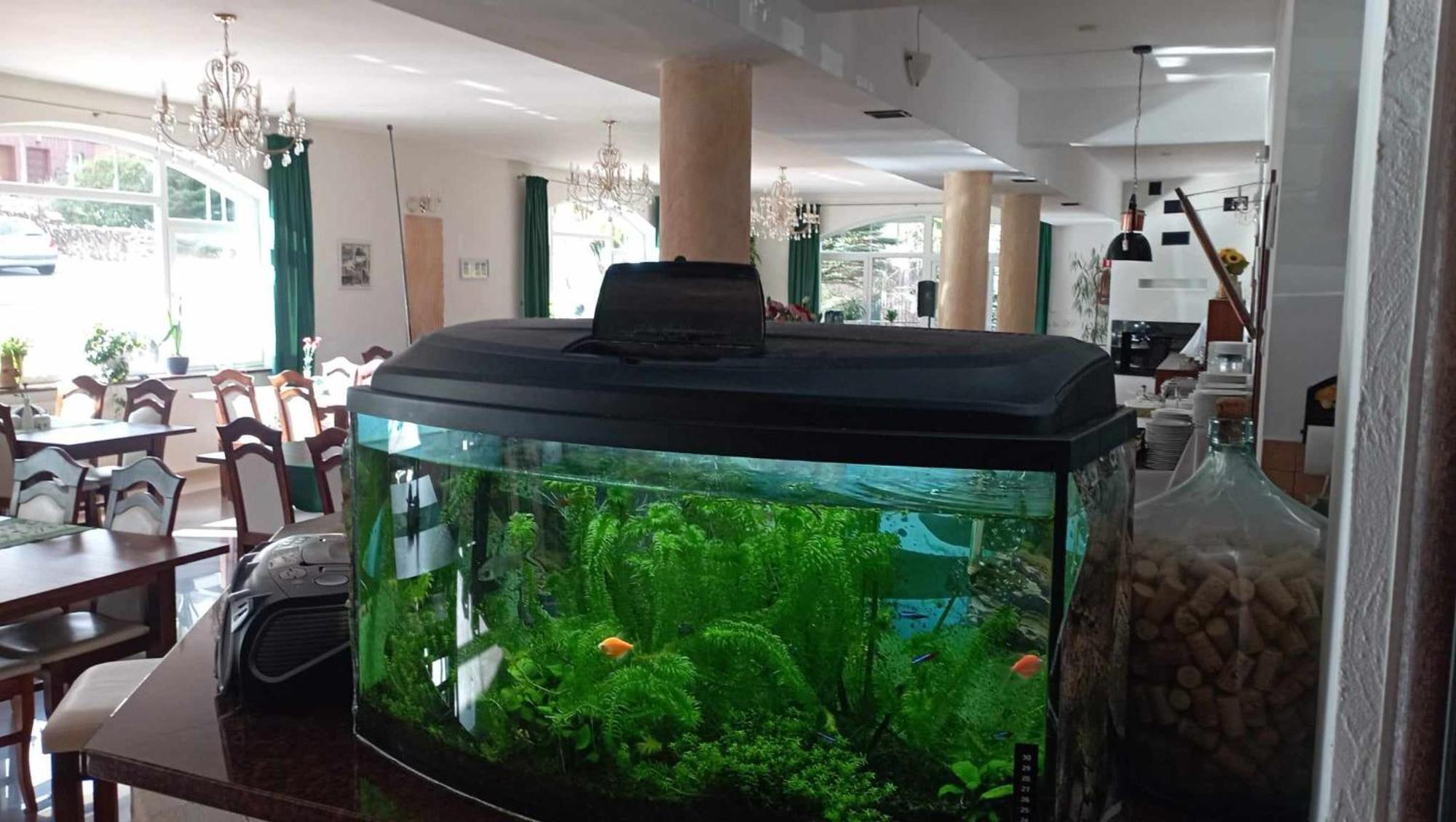 Pasja Bed & Breakfast ชเวียราโดว์-สโดรยจ์ ภายนอก รูปภาพ